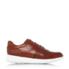 Ted Baker Calist Trainers for Men's Trainers Colour Brown511
