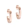 Ted Baker SENATTA Crystal Hoop Earring for Earrings Colour Rose Gold/Cryst 2 Ted Baker SENATTA Crystal Hoop Earring for Earrings Colour Rose Gold/Cryst -Ted Baker shop online 71895206 xxl