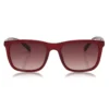 Ted Baker Ted SGLS0056 Ld99 for Ladies' Sunglasses Colour Burgundy -Ted Baker shop online 75697708 xxl